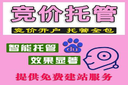 突破关键词竞价排名困境的案例解析